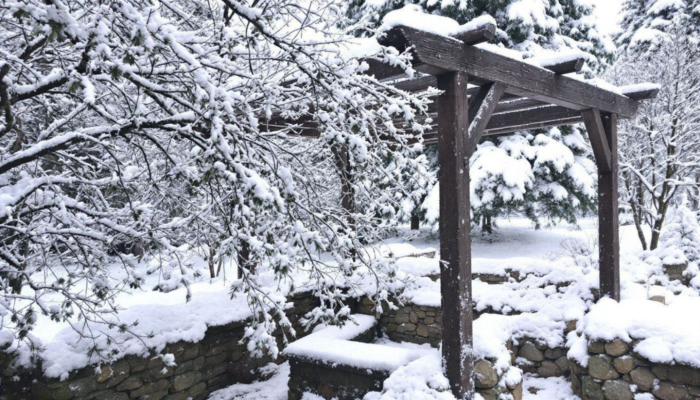 Comment optimiser l'utilisation de votre jardin d'hiver avec pergolas